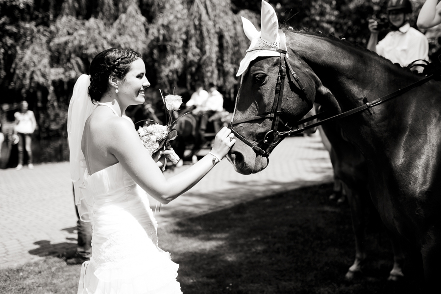 Hochzeit das gastliche Dorf Delbrück Hochzeitsfotograf