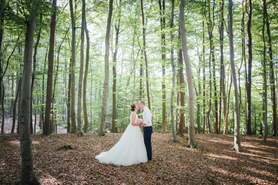 hochzeitsfotograf heiraten in delbrück owl hochzeit